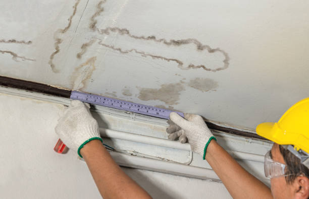 Reliable Flood Cleanup contractor in Versailles, OH by Water Damage Irwin